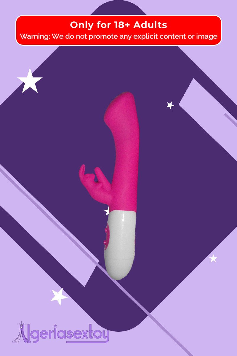 10 Function Dual Rabbit Vibrator RV-014 10 Function Dual Rabbit Vibrator RV-014